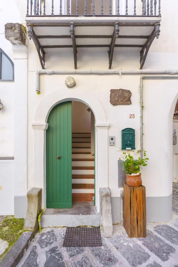 Apartament Torretta Corricella- Torretta Procida Zewnętrze zdjęcie